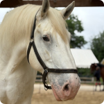 Blanco